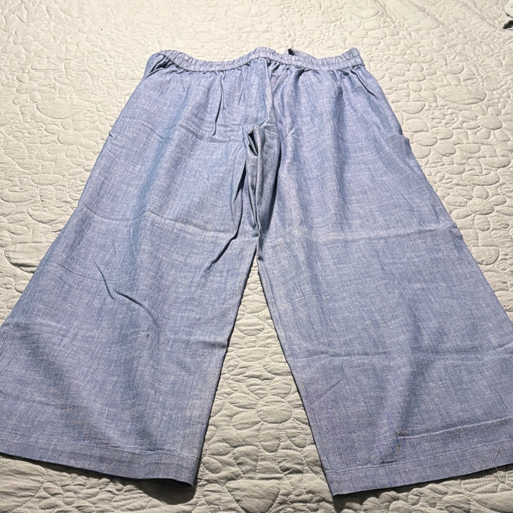 J. Crew Blue Cropped Pants - Picture 4 of 5